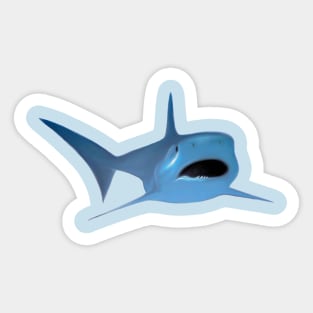 " FINNY "  SHARK DESIGN Sticker